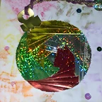 DSCN6665