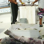 DSC05390
