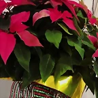Video Mar?a IG Stories 22-11-2019 (1)