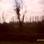 S5036958