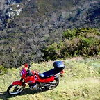 21-IMG_5236