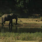 Kruger National Park 28-31 mayo 2009 961