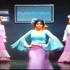 Pasarela 12-2-2015 (8)