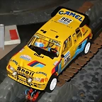 raid-1987-paris dakar-206-peugot 205 t16-2605