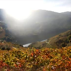 DSCN4654