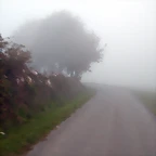 DSCN9391