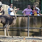Zoo Barcelona 23-11-11 i 25-11-11 184