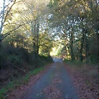 DSCN9379