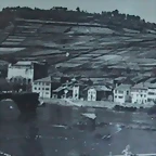 caneiro02