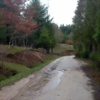 DSCN5338