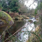 DSCN5348