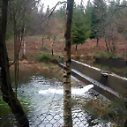 DSCN5340