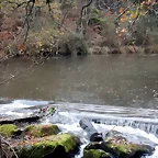 DSCN1820