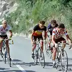 Perico-Tour1983-Fignon-Van Impe-Patrocinio