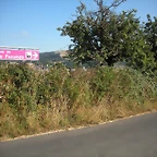DSCN7159