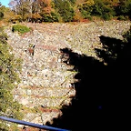 DSCN6507