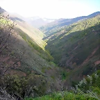 DSCN9115