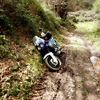 DSCN4019