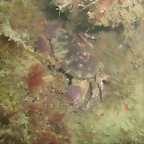 P7010020