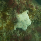 P7010007