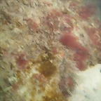 P7010006