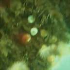 P7010014