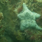 P7010016