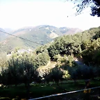 DSCN6980