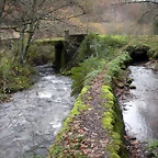 DSCN0998