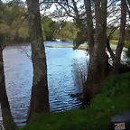 DSCN7502