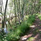 DSCN2371