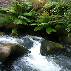 DSCN2423