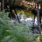 DSCN2384