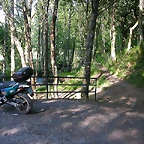DSCN2387