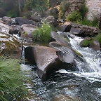 DSCN2418
