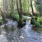 DSCN2369