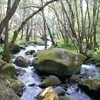 DSCN2434