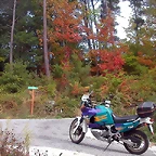 DSCN7485
