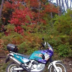 DSCN7486