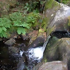 DSCN7479