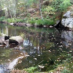 DSCN7484