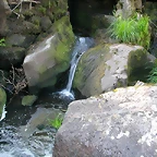 DSCN2425