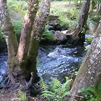 DSCN2367