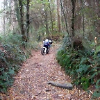 DSCN7501