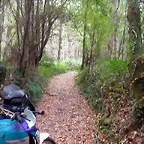 DSCN7500