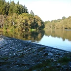 DSCN7833