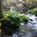 DSCN2404