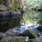 DSCN2452