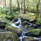 DSCN2402