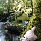 DSCN2403